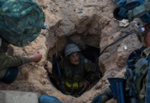 2014-08-28-IDFspokesperson.png
